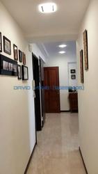Evergreen Park (D19), Apartment #105874962